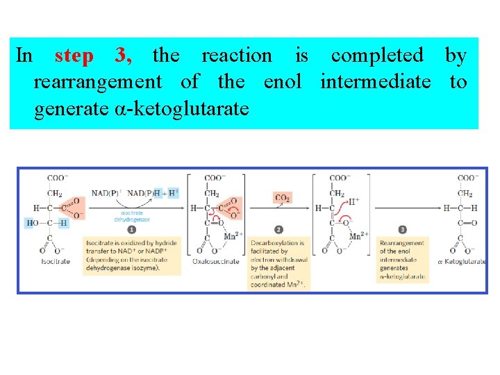 In step 3, the reaction is completed by rearrangement of the enol intermediate to