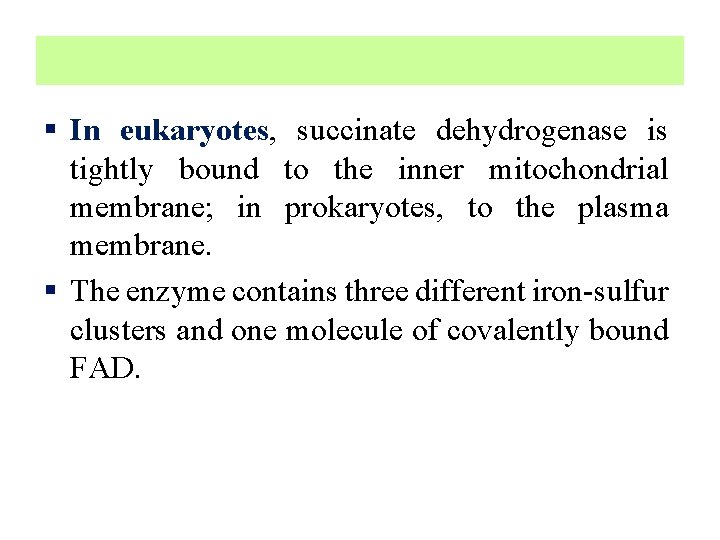 § In eukaryotes, succinate dehydrogenase is tightly bound to the inner mitochondrial membrane; in