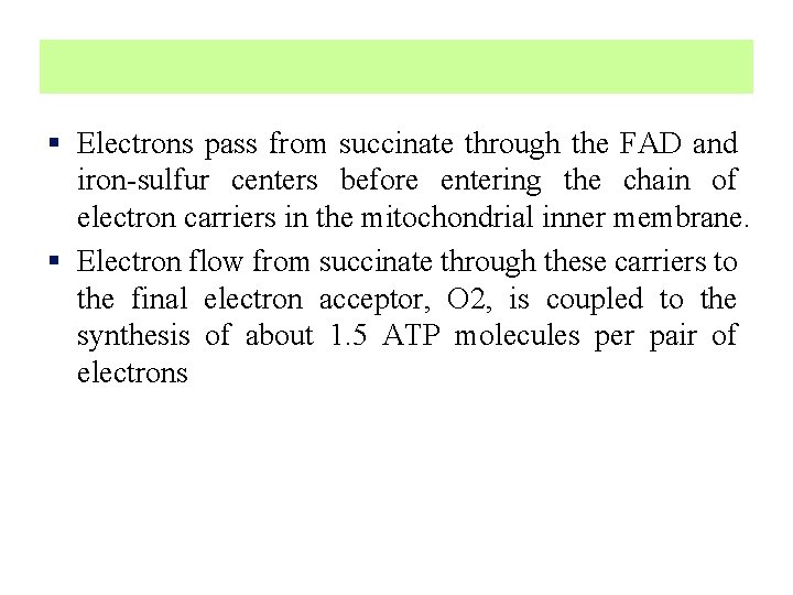 § Electrons pass from succinate through the FAD and iron-sulfur centers before entering the