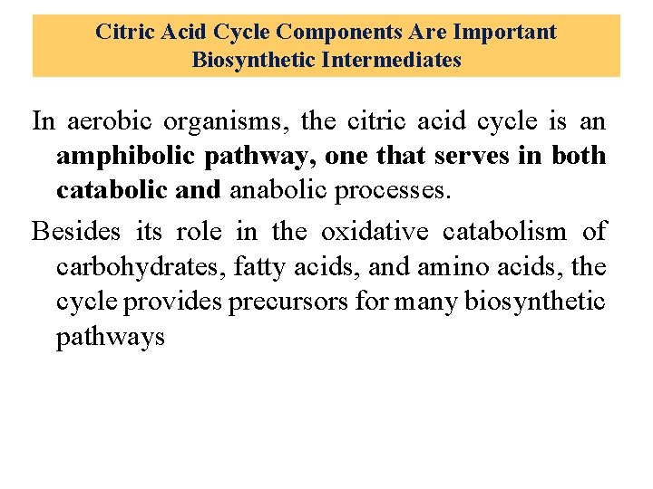 Citric Acid Cycle Components Are Important Biosynthetic Intermediates In aerobic organisms, the citric acid