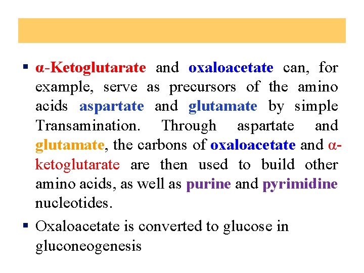 § α-Ketoglutarate and oxaloacetate can, for example, serve as precursors of the amino acids