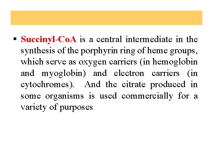 § Succinyl-Co. A is a central intermediate in the synthesis of the porphyrin ring
