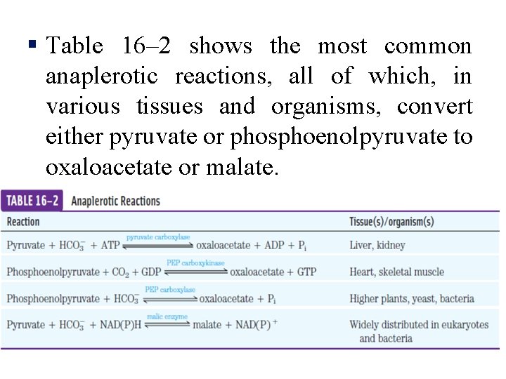 § Table 16– 2 shows the most common anaplerotic reactions, all of which, in