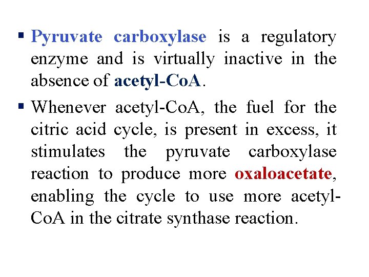 § Pyruvate carboxylase is a regulatory enzyme and is virtually inactive in the absence