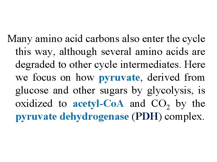 Many amino acid carbons also enter the cycle this way, although several amino acids