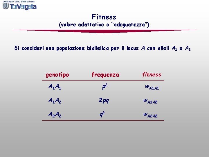 Fitness (valore adattativo o “adeguatezza”) Si consideri una popolazione biallelica per il locus A