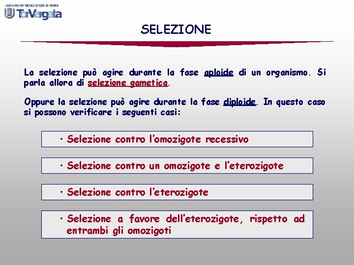 SELEZIONE La selezione può agire durante la fase aploide di un organismo. Si parla