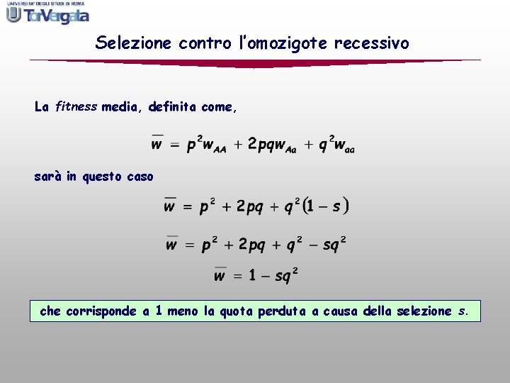 Selezione contro l’omozigote recessivo La fitness media, definita come, sarà in questo caso che