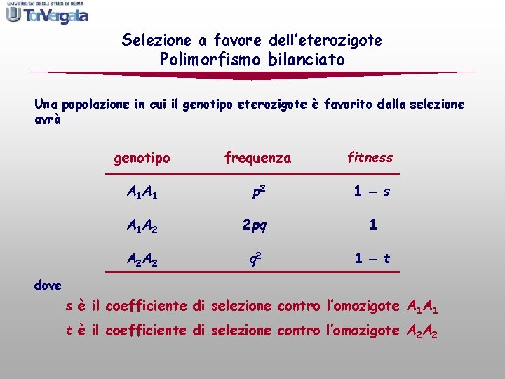 Selezione a favore dell’eterozigote Polimorfismo bilanciato Una popolazione in cui il genotipo eterozigote è