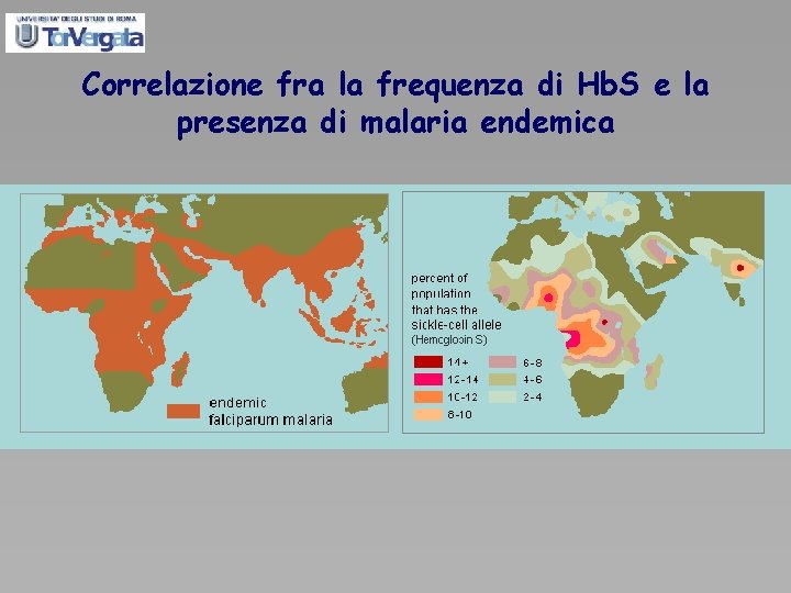 Correlazione fra la frequenza di Hb. S e la presenza di malaria endemica 
