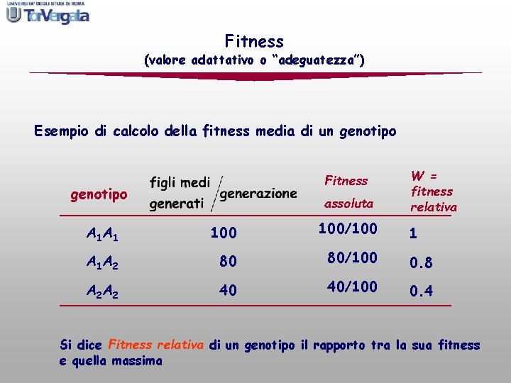 Fitness (valore adattativo o “adeguatezza”) Esempio di calcolo della fitness media di un genotipo