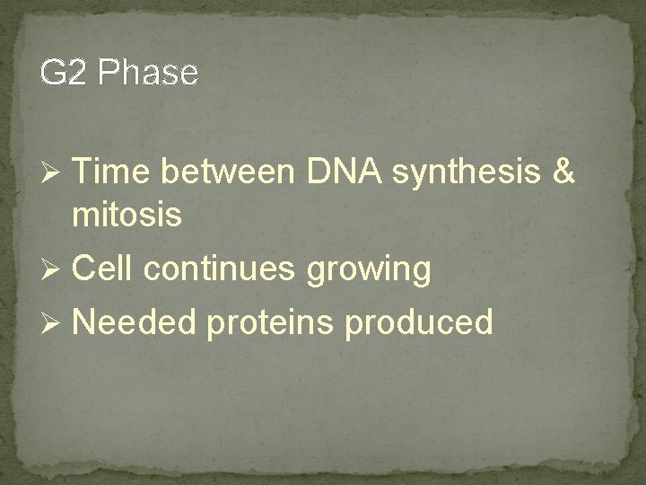 G 2 Phase Ø Time between DNA synthesis & mitosis Ø Cell continues growing G 2 Phase Ø Time between DNA synthesis & mitosis Ø Cell continues growing