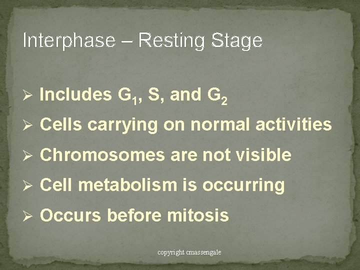 Interphase – Resting Stage Ø Includes G 1, S, and G 2 Ø Cells Interphase – Resting Stage Ø Includes G 1, S, and G 2 Ø Cells