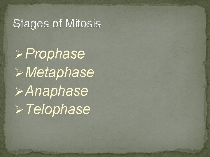 Stages of Mitosis Ø Prophase Ø Metaphase Ø Anaphase Ø Telophase Stages of Mitosis Ø Prophase Ø Metaphase Ø Anaphase Ø Telophase