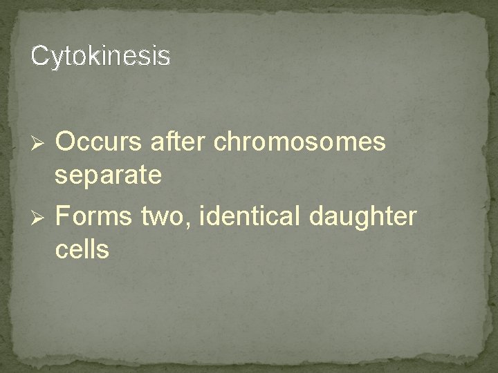 Cytokinesis Occurs after chromosomes separate Ø Forms two, identical daughter cells Ø Cytokinesis Occurs after chromosomes separate Ø Forms two, identical daughter cells Ø