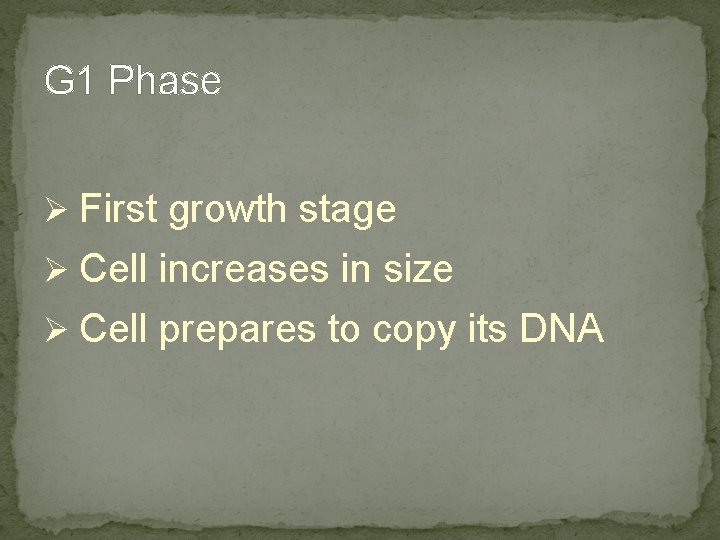 G 1 Phase Ø First growth stage Ø Cell increases in size Ø Cell G 1 Phase Ø First growth stage Ø Cell increases in size Ø Cell