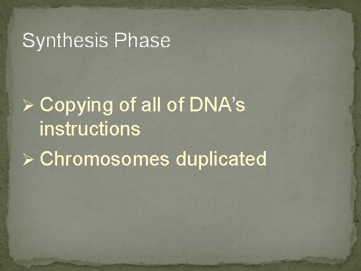 Synthesis Phase Ø Copying of all of DNA’s instructions Ø Chromosomes duplicated Synthesis Phase Ø Copying of all of DNA’s instructions Ø Chromosomes duplicated