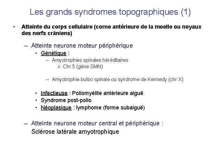 Les grands syndromes topographiques (1) • Atteinte du corps cellulaire (corne antérieure de la