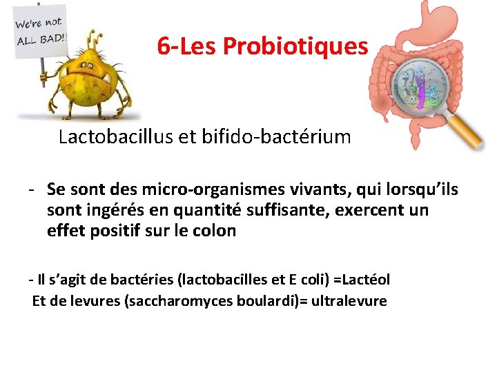 6 -Les Probiotiques Lactobacillus et bifido-bactérium - Se sont des micro-organismes vivants, qui lorsqu’ils