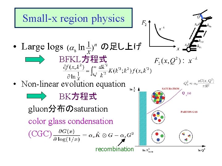 Small-x region physics • Large logs の足し上げ 　　　　BFKL方程式 • Non-linear evolution equation 　　　　BK方程式　　　 gluon分布のsaturation