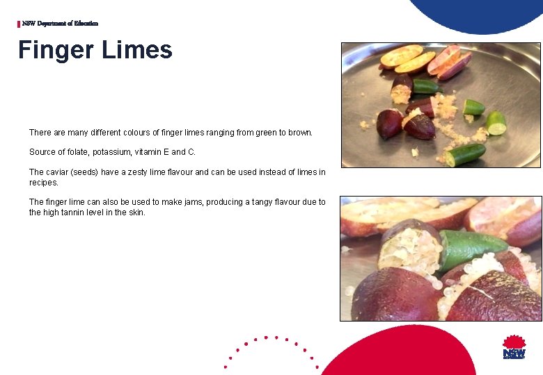 NSW Department of Education Finger Limes There are many different colours of finger limes