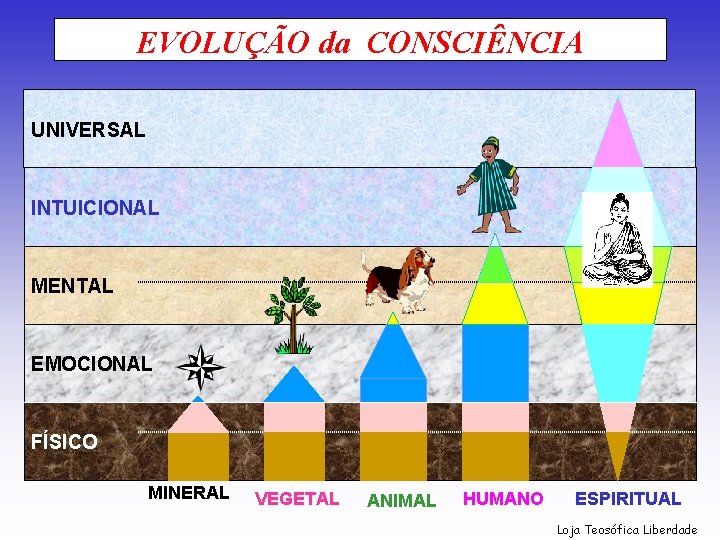 EVOLUÇÃO da CONSCIÊNCIA UNIVERSAL INTUICIONAL MENTAL EMOCIONAL FÍSICO MINERAL VEGETAL ANIMAL HUMANO ESPIRITUAL Loja