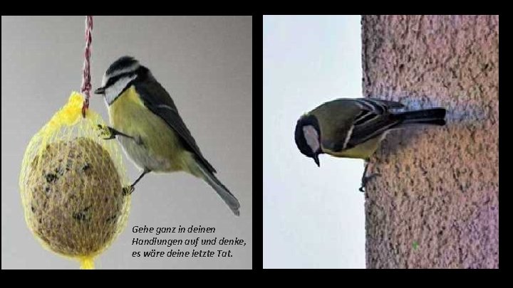 Gehe ganz in deinen Handlungen auf und denke, es wäre deine letzte Tat. 