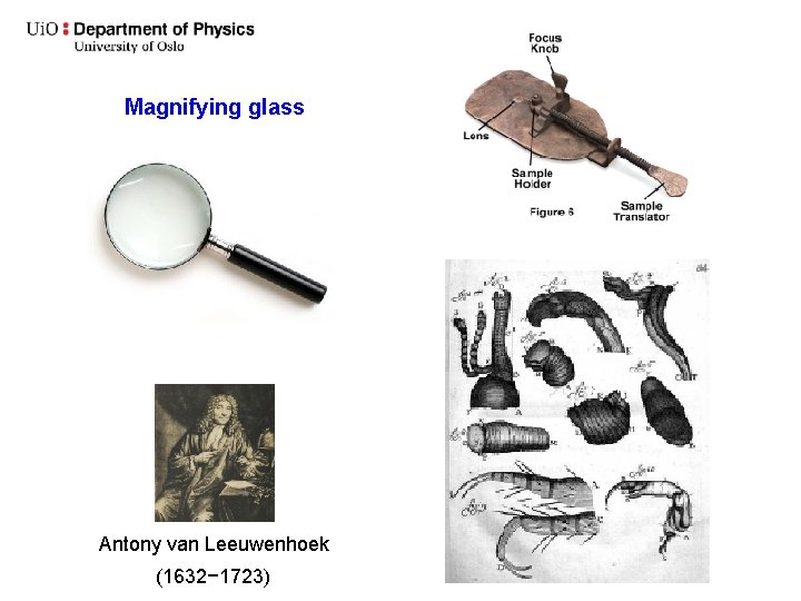 Magnifying glass Antony van Leeuwenhoek (1632− 1723) 