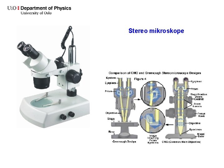 Stereo mikroskope 