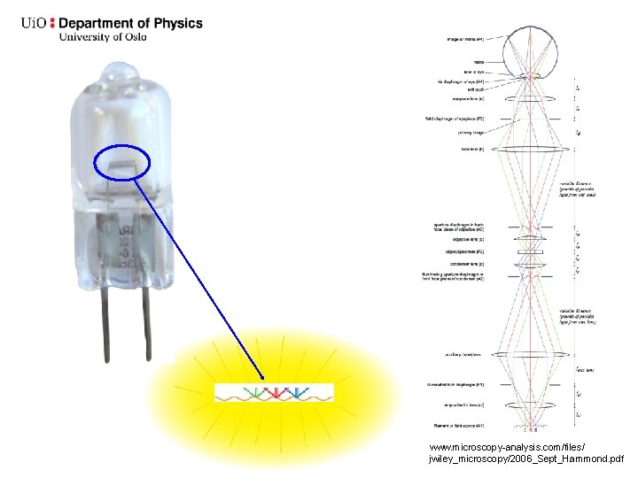 www. microscopy-analysis. com/files/ jwiley_microscopy/2006_Sept_Hammond. pdf 