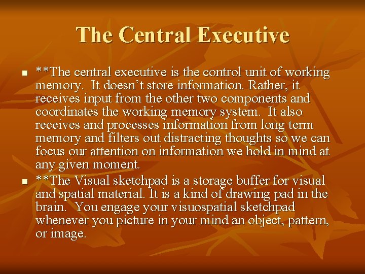 The Central Executive n n **The central executive is the control unit of working