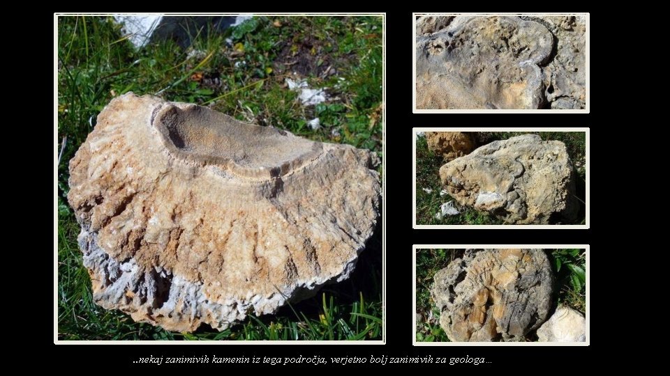 . . nekaj zanimivih kamenin iz tega področja, verjetno bolj zanimivih za geologa… 