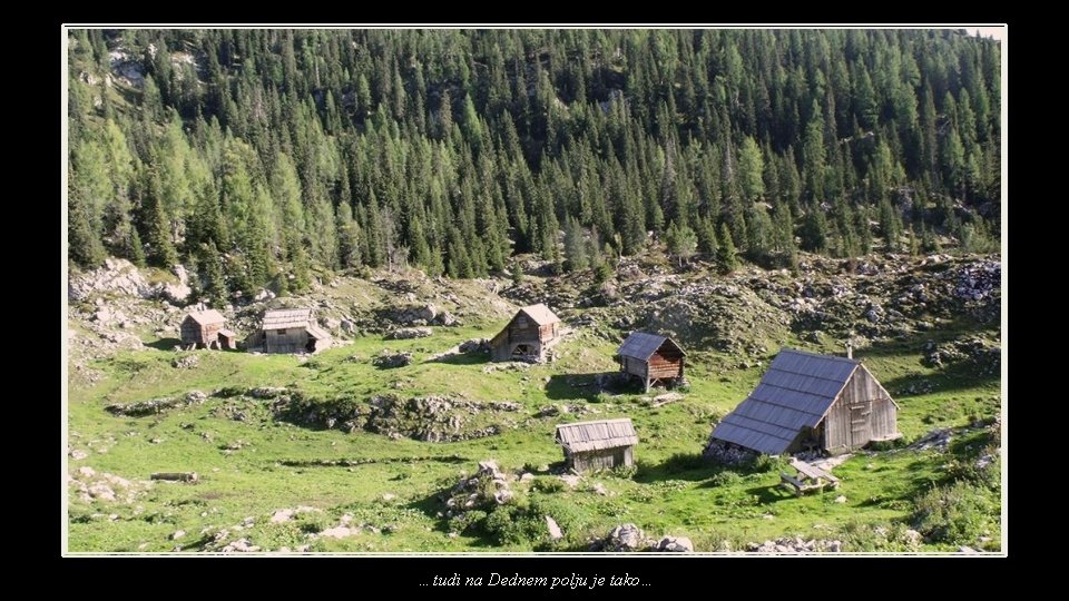 …tudi na Dednem polju je tako… 