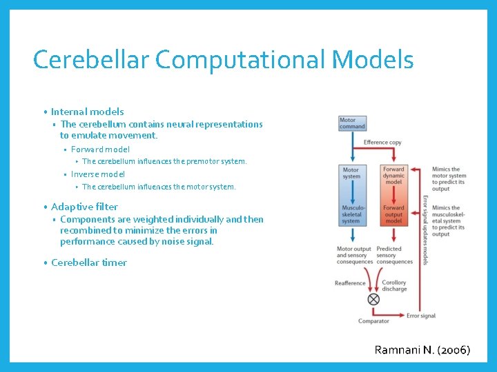 Cerebellar Computational Models • Internal models • The cerebellum contains neural representations to emulate