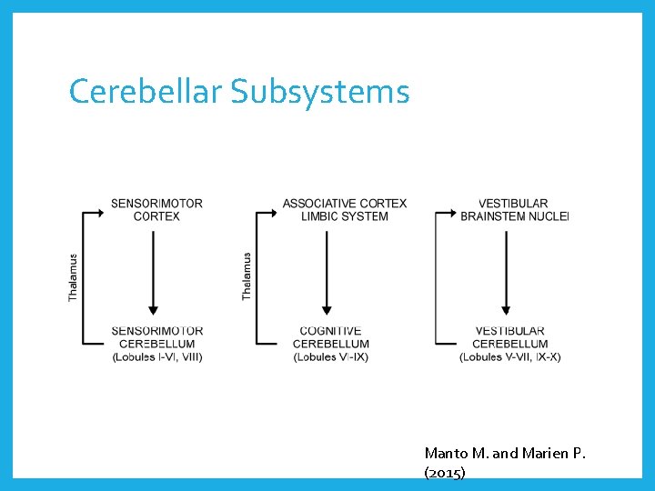 Cerebellar Subsystems Manto M. and Marien P. (2015) 