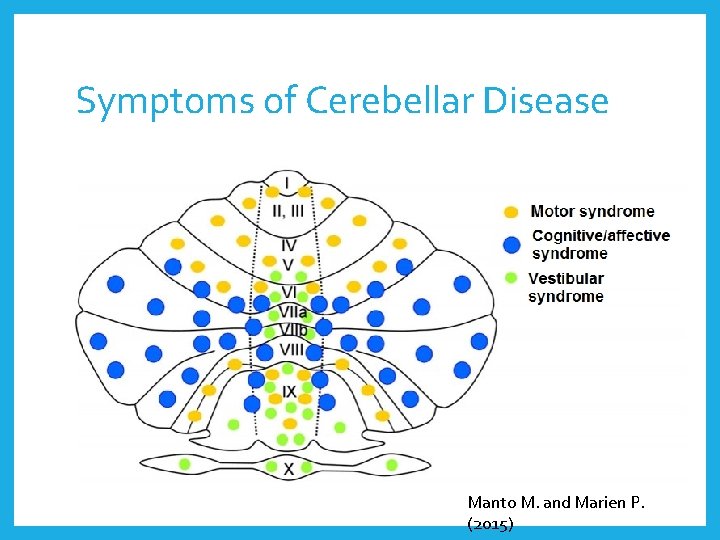 Symptoms of Cerebellar Disease Manto M. and Marien P. (2015) 