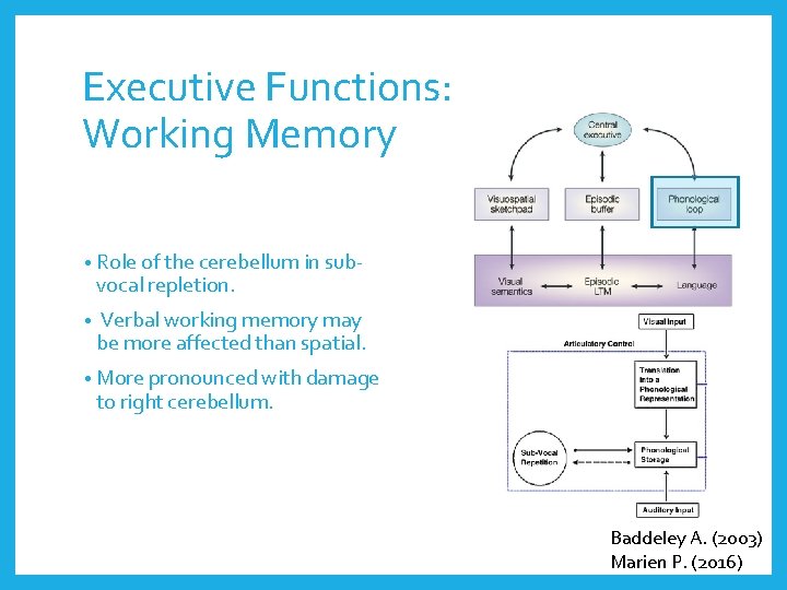 Executive Functions: Working Memory • Role of the cerebellum in sub- vocal repletion. •