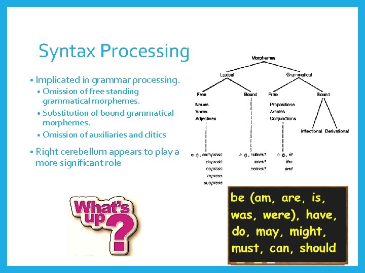 Syntax Processing • Implicated in grammar processing. • Omission of free standing grammatical morphemes.