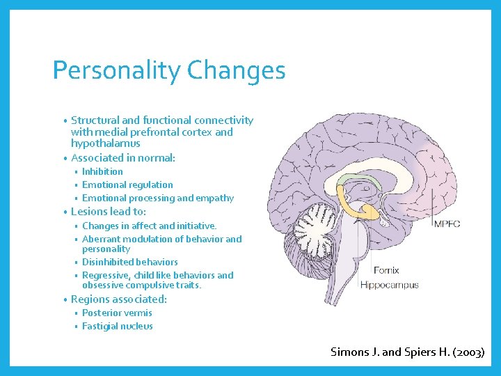 Personality Changes Structural and functional connectivity with medial prefrontal cortex and hypothalamus • Associated