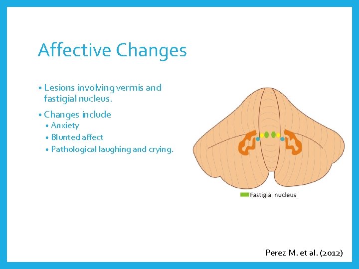 Affective Changes • Lesions involving vermis and fastigial nucleus. • Changes include • Anxiety