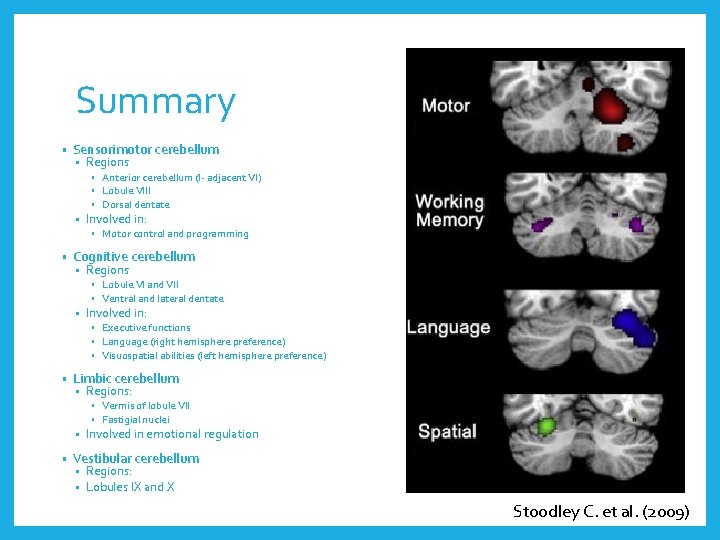 Summary • Sensorimotor cerebellum • Regions • Anterior cerebellum (I- adjacent VI) • Lobule