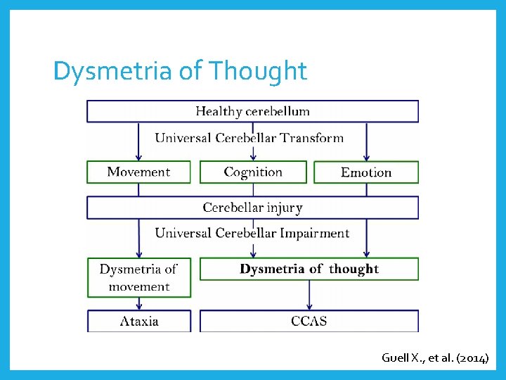 Dysmetria of Thought Guell X. , et al. (2014) 