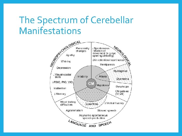 The Spectrum of Cerebellar Manifestations 