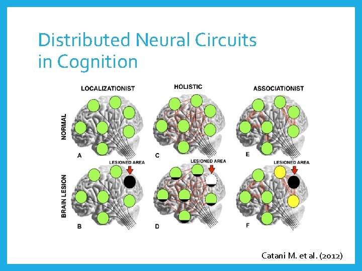 Distributed Neural Circuits in Cognition Catani M. et al. (2012) 