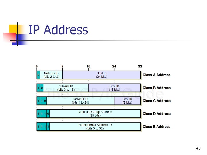 IP Address 43 