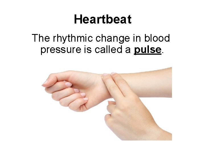 Heartbeat The rhythmic change in blood pressure is called a pulse. 