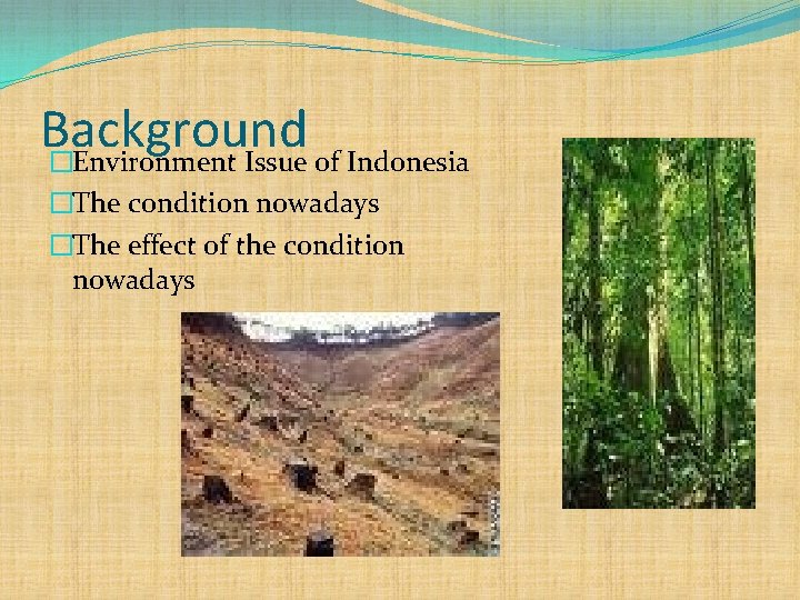 Indonesia Present Environment Issue of Indonesia Deforestation Background