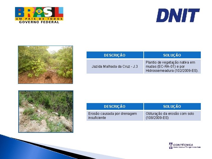 DESCRIÇÃO SOLUÇÃO Jazida Malhada da Cruz - J. 3 Plantio de vegetação nativa em