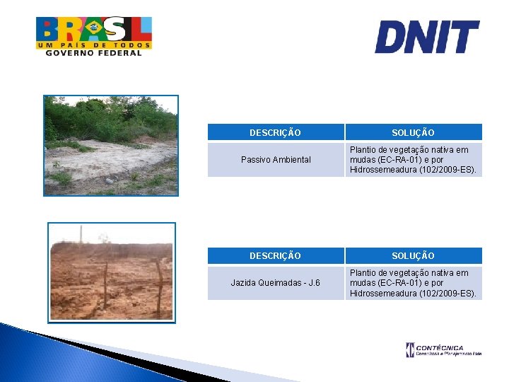 DESCRIÇÃO SOLUÇÃO Passivo Ambiental Plantio de vegetação nativa em mudas (EC-RA-01) e por Hidrossemeadura