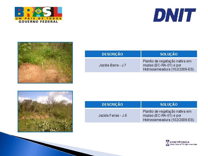 DESCRIÇÃO SOLUÇÃO Jazida Barra - J. 7 Plantio de vegetação nativa em mudas (EC-RA-01)